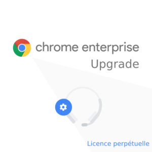 Chrome Enterprise Upgrade perpetuelle