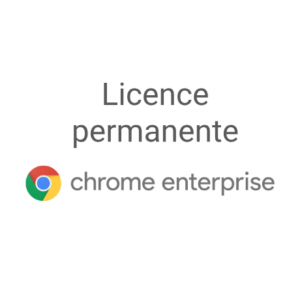 Licence Chrome Entreprise