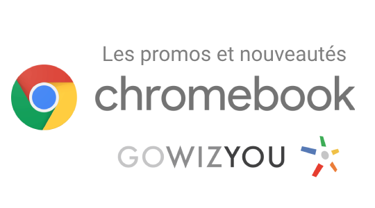 Toutes les promotions GOWIZYOU de janvier