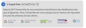 L'expertise GOWIZYOU